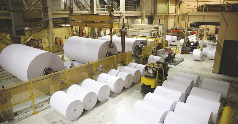 Paper and shop board industry